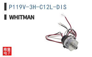 P119V-3H-C12L-DIS ͼƬ